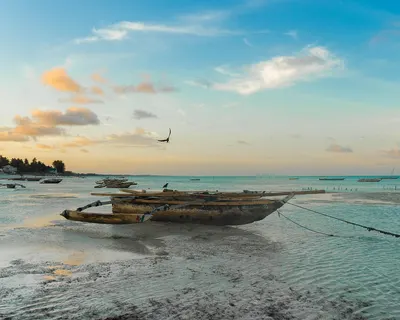 Africa zanzibar beach 4k ocean wallpaper