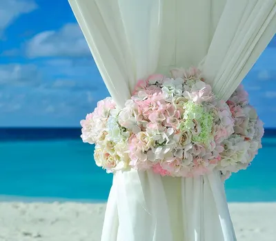 Beach curtains flower background hd ocean wallpaper