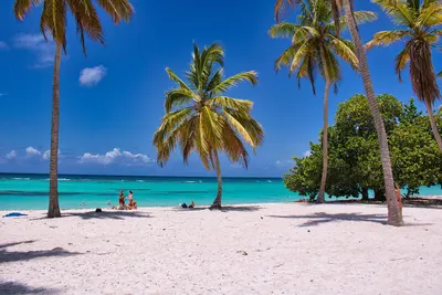 Beach travel vacation 4k ocean wallpaper