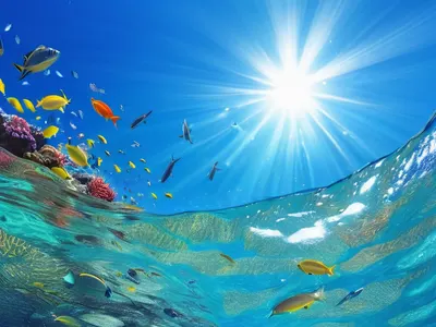 Deep Blue Underwater Reef tablet ocean wallpaper