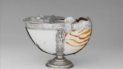 Nautilus shell box hd ocean wallpaper