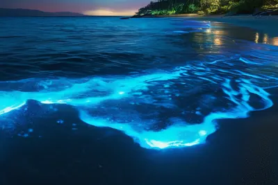 Ocean Bioluminescence Night tablet ocean wallpaper