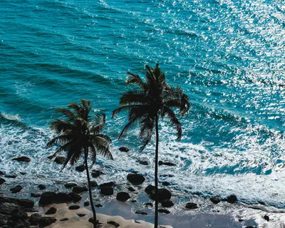 Stunning aerial shot of a tropical beach with palm trees and turquoise ocean wav 4k ocean wallpaper