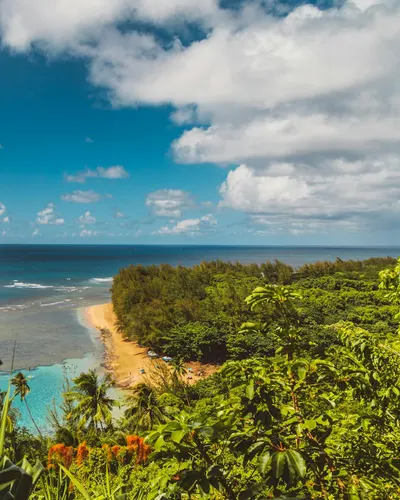 Stunning view of a tropical beach with vibrant ocean and lush green surroundings 4k ocean wallpaper
