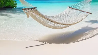 Tropical Beach Paradise phone ocean wallpaper