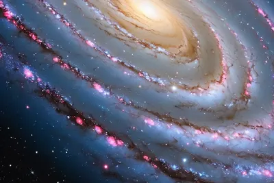 Galaxy Spiral Arms phone space wallpaper