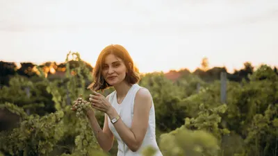 A woman in a vineyard at sunset enjoying fresh grapes and smiling warmly. 4k sunset wallpaper