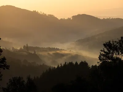 Fog mist haze 4k sunset wallpaper