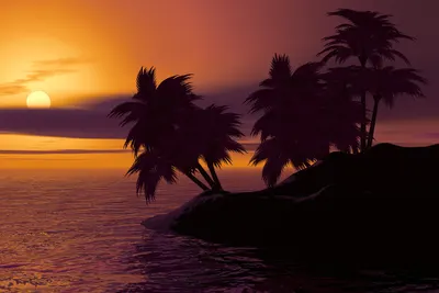 Island palm trees sunset 4k sunset wallpaper