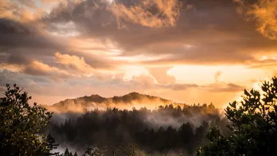 Mountains forest sunset 4k sunset wallpaper