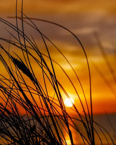 Sea sunset dusk 4k sunset wallpaper