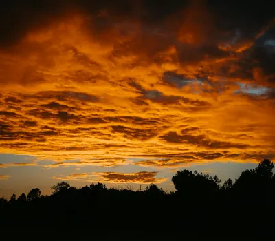 Stunning sunset with vivid orange clouds and tree silhouettes creating a dramati 4k sunset wallpaper