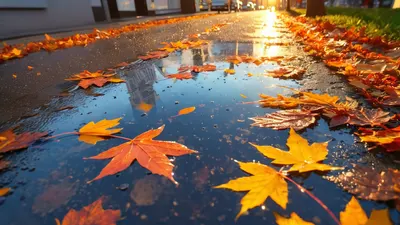 Sunset Reflection Puddle 4k sunset wallpaper
