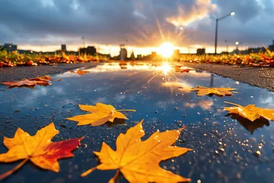 Sunset Reflection Puddle 4k sunset wallpaper