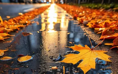 Sunset Reflection Puddle tablet sunset wallpaper