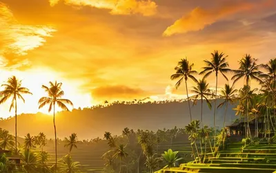 Sunset Rice Terrace Bali tablet sunset wallpaper